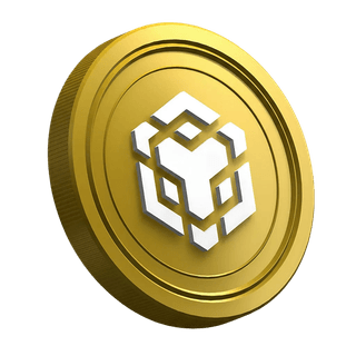 Seite des Leitfadens für neue Trader mit BNB-Kryptowährung